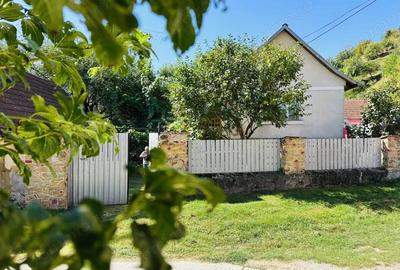 Casa de vacanta - Dognecea, CS - Teren 719 mp | Comision 0% - 14