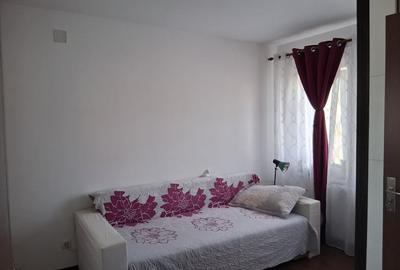 Sanmihaiul Roman - Casa individuala cu 3 dormitoare, complet mobilata si utilata - 11