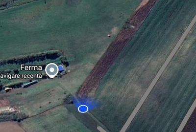 Teren extravilan intrare Bod din Sanpetru pentru investitie sau parcelare - 2