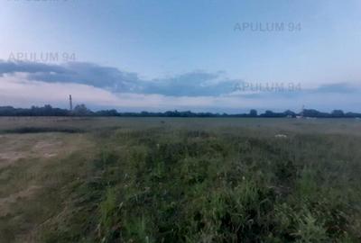 Teren aproape de Bucuresti langa padure - 15