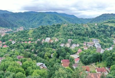 Teren Construcții intravilan de 2700 mp, în Drumul Poienii - 17