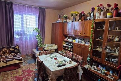 Casă cu 2 camere cu Teren 1150 Mp în Pustiniș