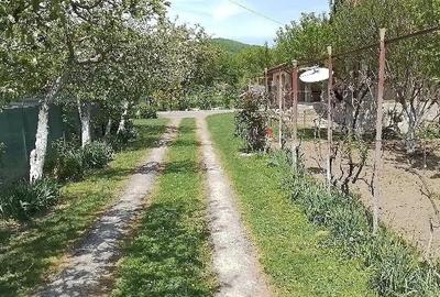 Casă cu Teren 1833 Mp în Central - 6
