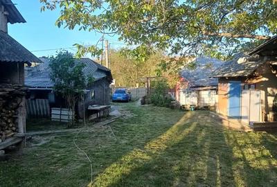 A 13. 20000 mp teren ?i 3 constructii casa in judetul Bacau - 3