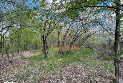 Spațiu comercial, în Bălnaca - 6