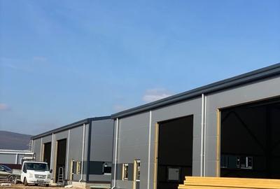 Spațiu industrial, de 598.83001708984 mp, în Gilău - 6