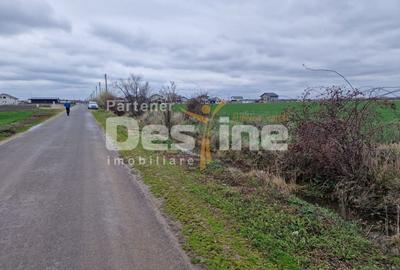 Teren Construcții intravilan de 500 mp, în Dragomirești-Vale - 4