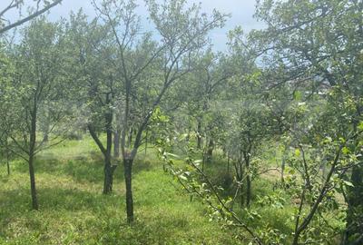 Teren intravilan 2774 mp, zona Dobrogeanu Gherea - 5