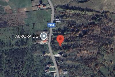 Spațiu comercial, în Iedera - 3