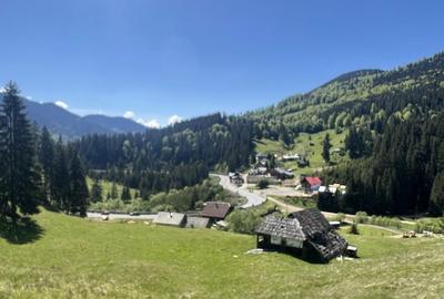Spațiu comercial, în Piatra - 6