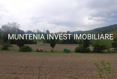 Casă cu 4 camere în Băjești - 17