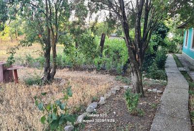 Casă cu 3 camere în Central - 6