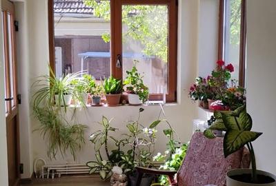 Casă cu 3 camere cu Teren 1000 Mp în Sânmihaiu Român - 4