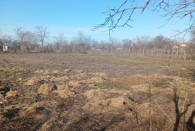 Casă cu 2 camere în Fundeni - 8