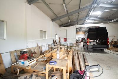 Spațiu comercial, de 560 mp, în Remetea Mare - 9