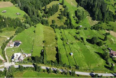 Teren intravilan 6527 mp Stulpicani - Bucovina