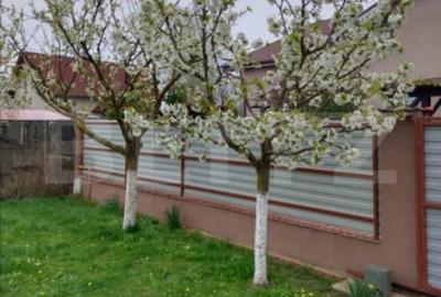 Casă cu 3 camere cu Teren 460 Mp în Ernei - 4