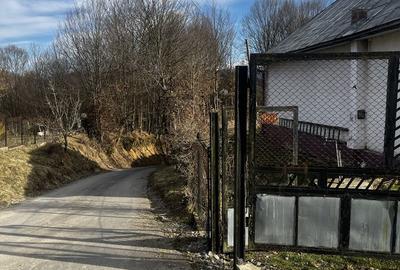 Casă cu 3 camere în Vișeu de Jos - 5