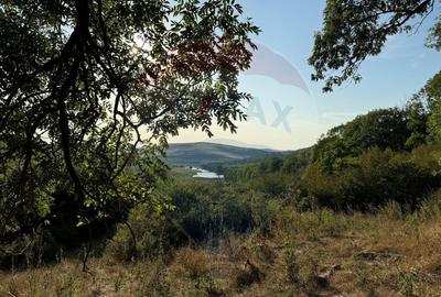 Teren cu parau | 50,000 mp | zona Caianu-Vama | la lizi... - 7