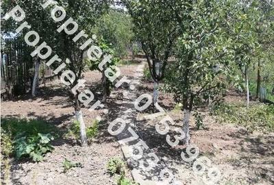 Casă cu 3 camere decomandat în Costi - 1