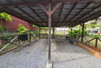 Casa de vanzare, suprafata totala 360Mp, Ana Ipatescu, Sighisoara - 8