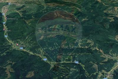 Teren 5800 mp, Valea Sasului, sat Dalghiu, com Vama Buzaului - 6