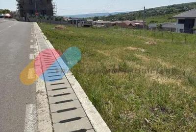 Teren 600 mp de vanzare Chinteni cu Puz si utilitati - 4