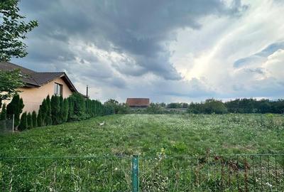 Teren de 1000 mp, în Stupini