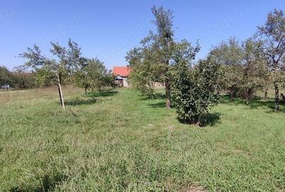 Casa Alios de vanzare - 17