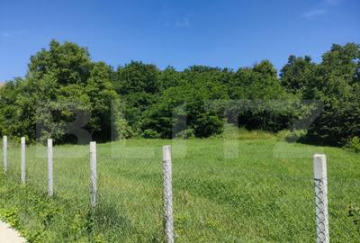 Teren de 2200 mp, în Siret - 1