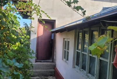 Casa de vanzare in com. Muntenii Buzau , judet Ialomita - 6