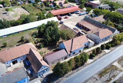 Cenad-Casa/Spatii Birouri- 150mp-teren 1065mp - 4