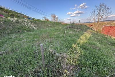 Spațiu comercial, în Cuștelnic - 5