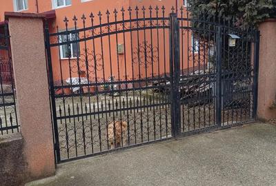 Vand casa in jud Valcea, comuna Vladesti, sat Priporu - 6