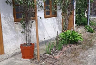 Casă cu 3 camere în Daneți - 2