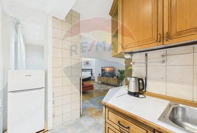 Apartament cu 2 camere de vanzare in zona Calea Victoriei - 17