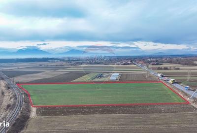 Spațiu comercial, în Lunca Calnicului - 4