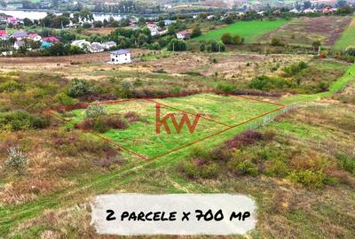 Teren Intravilan in Dorobant, Aroneanu - 2 Parcele - 700 mp