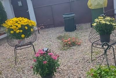 Casă individuală cu 2 camere cu Teren 3525 Mp în Șauaieu - 7