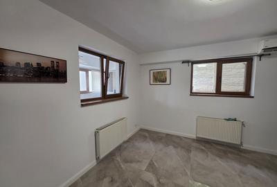 Ion Mihalache-Domenii - 13