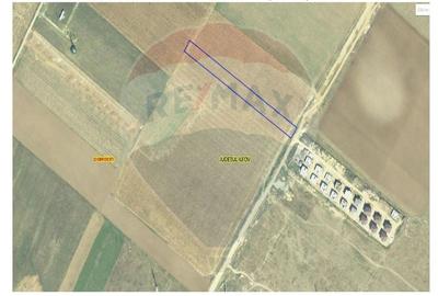 Teren agricol intravilan de 5000 mp, în Dobroești - 2
