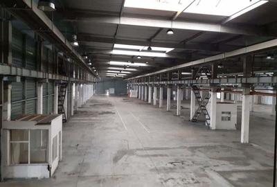 Spațiu comercial, de 20,000 mp, în Timișoara - 3