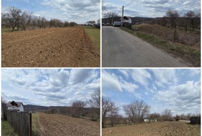 Teren de 2551 mp, în Măgureni - 4