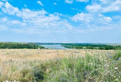 Teren de 380000 mp, în Rasova - 8