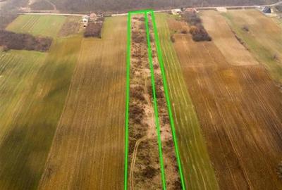 RECO Teren in Burzuc 13 041mp - 3