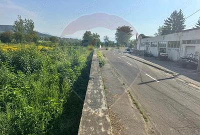 Teren 5,240mp Sighetu Marmatiei / Strada Crisan - 3