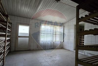 Casă cu 10 camere cu Teren 1000 Mp în Chisindia - 19