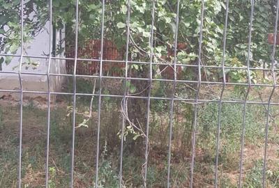 Casă cu 2 camere în Pogoanele - 3