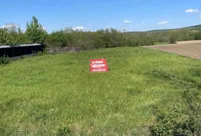 Teren de 2256 mp, în Bodești - 1