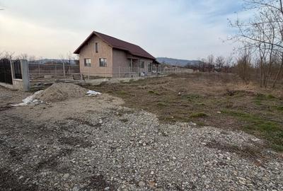 Teren de 1100 mp, în Dumbrăvești - 2